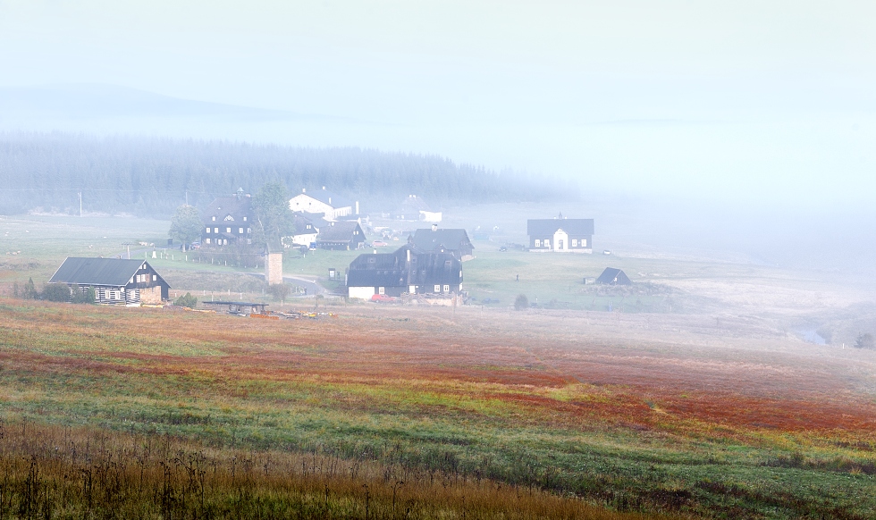 _DSC2901
