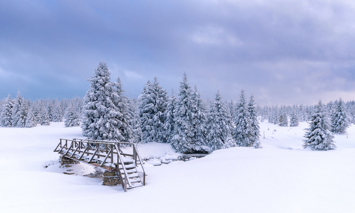 20150129_0086