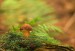 _DSC7355