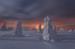 _DSC8052