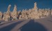 _DSC8175