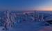 _DSC8183