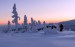_DSC8243
