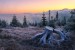_DSC7110